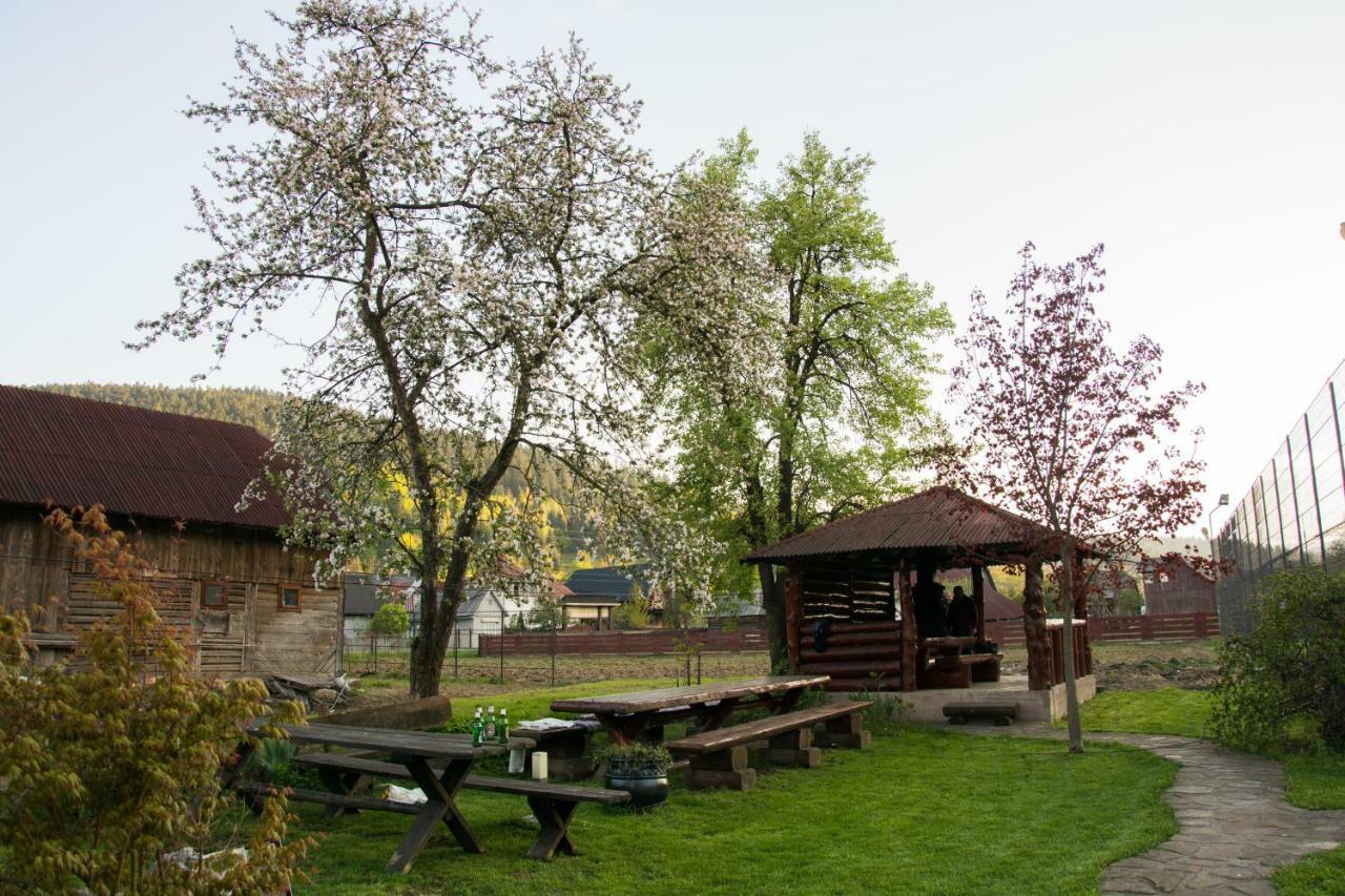Casa Rares Sucevita Buitenkant foto